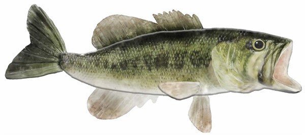 12" Embossed Metal Large Mouth Bass - MD0607 - The Wreath Shop