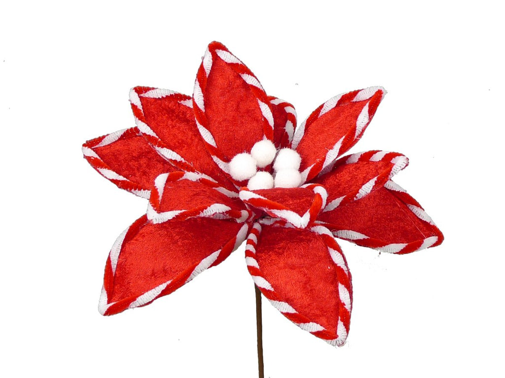 12" Velvet Poinsettia: Red/White - 84037RD - The Wreath Shop