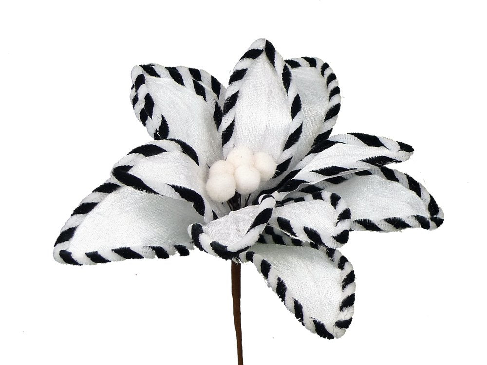 12" Velvet Poinsettia: White/Black - 84037WTBK - The Wreath Shop