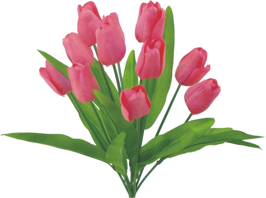 20" Tulip Bush: Dark Pink (12) - 61386BT - The Wreath Shop