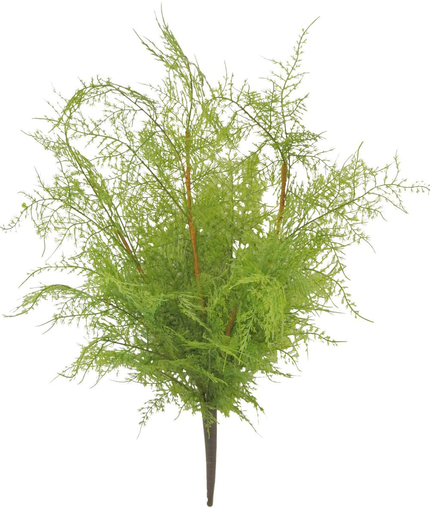 22" Asparagus Fern Bush - 80979 - The Wreath Shop