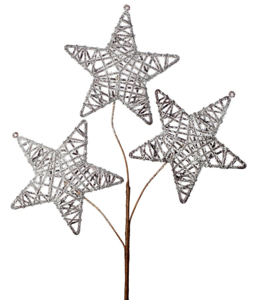 22" Frosted Triple Twig Star Spray - MTX65741 - The Wreath Shop