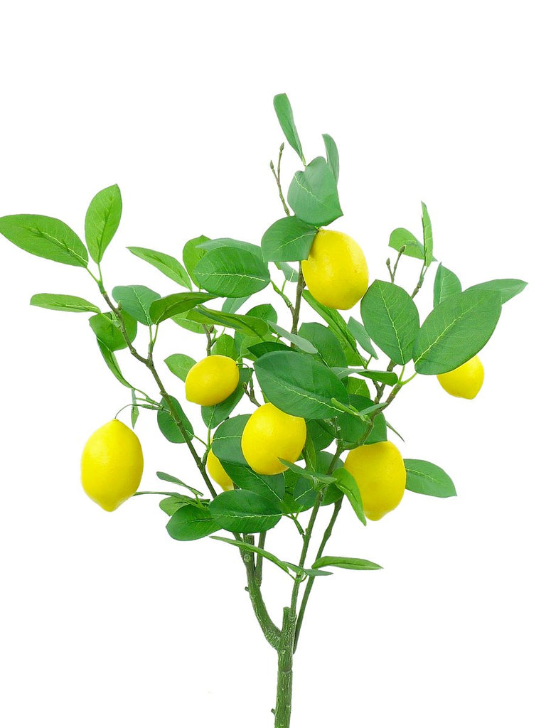 24" Lemon Bush - 62813BU24 - The Wreath Shop