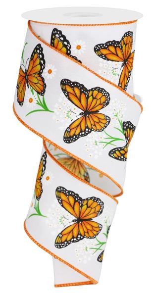 2.5" Monarch Butterfly Daisy Ribbon - RGE150627 - The Wreath Shop