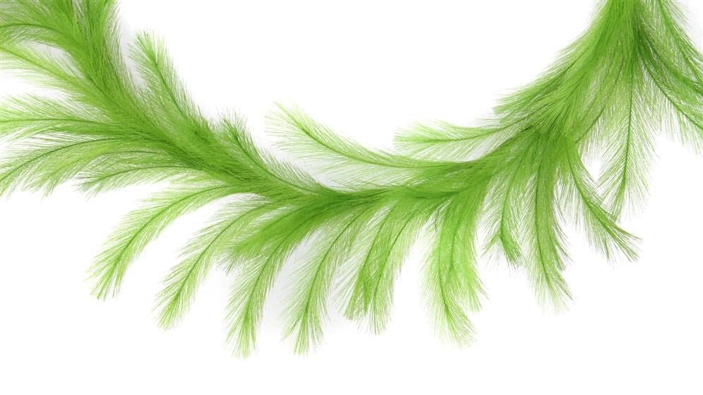 6' Fabric Grass Plumes Garland: Lime Green - FG601756 - The Wreath Shop