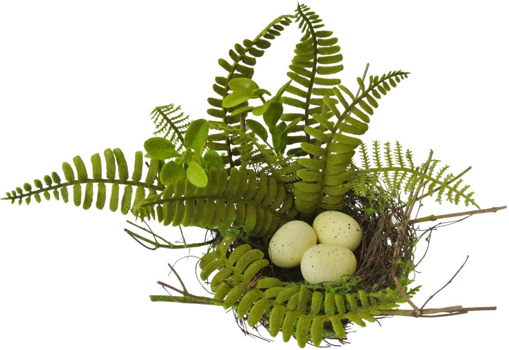 10" Fern Nest w/ Eggs - 62626 - The Wreath Shop