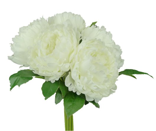 15" Peony Bouquet: Cream (5) - 30597CM - The Wreath Shop