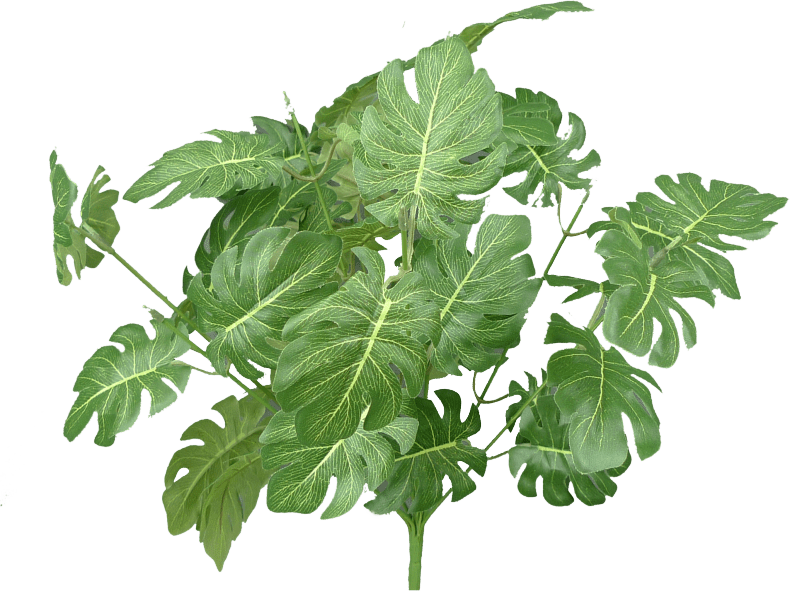 bushes philodendron 17" Green Philo Bush 13398GN