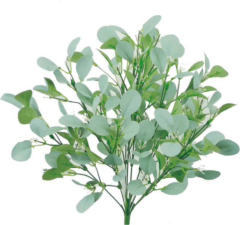 where to buy seeded eucalyptus plants 18" Seeded Eucalyptus Bush