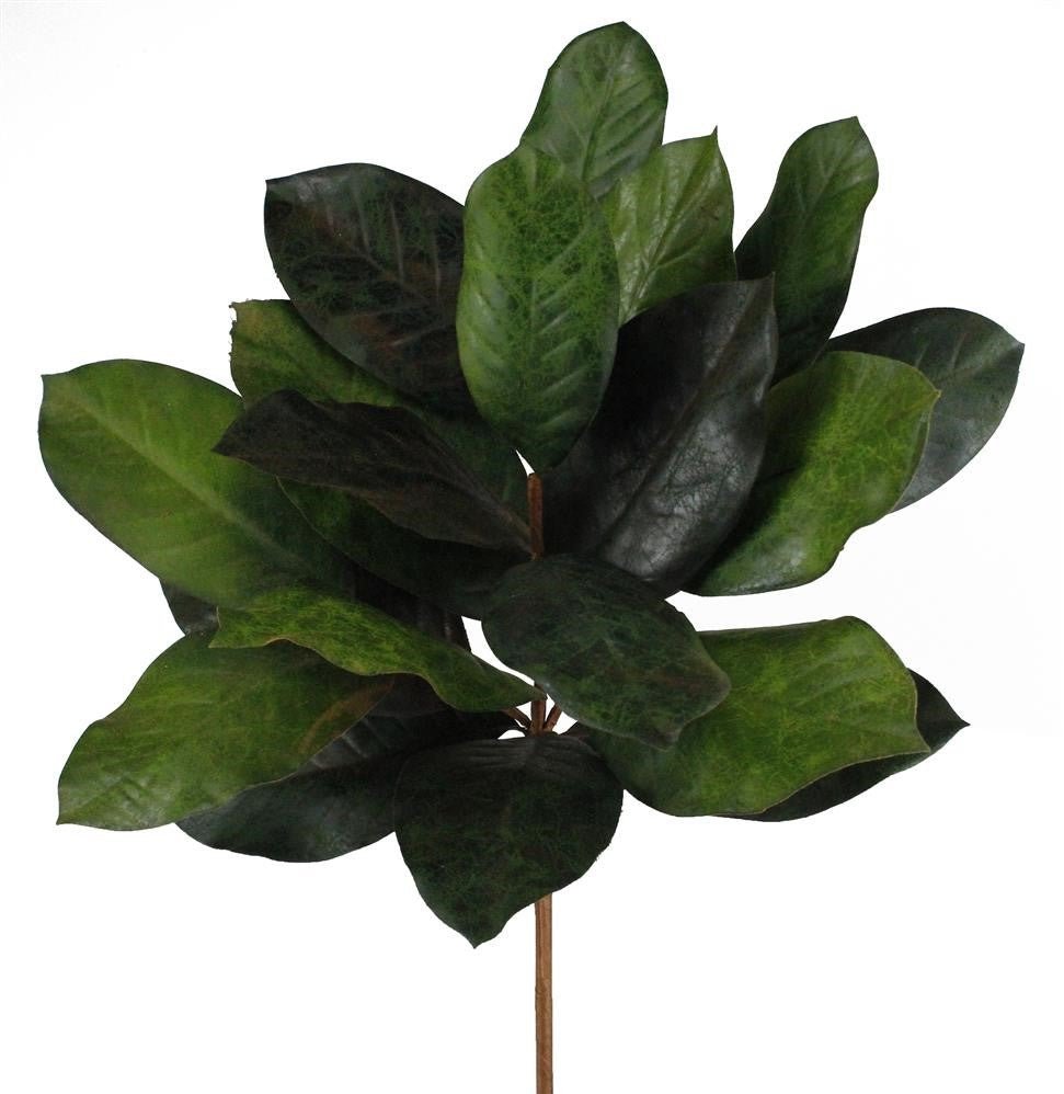 19.5" Magnolia Leaf Bush - NF2003 - The Wreath Shop