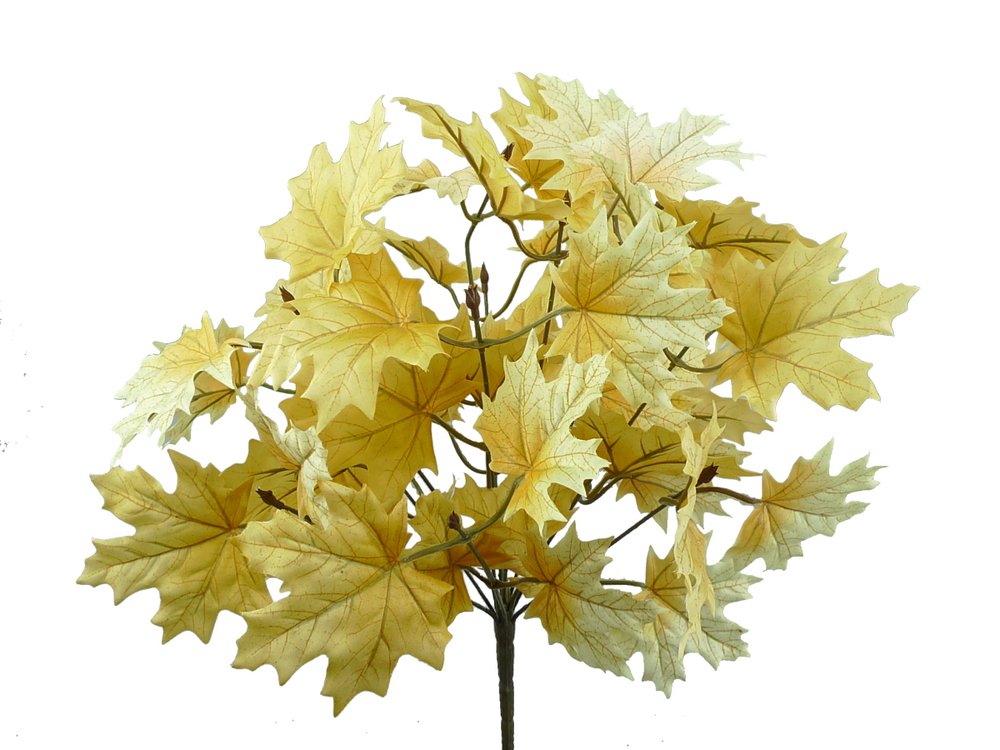 20" Maple Leaf Bush: Beige (12) - 56600BE - The Wreath Shop