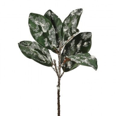 20" Snow Glitter Magnolia Leaf Spray - MTX76751 - The Wreath Shop