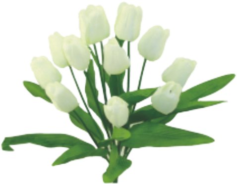 20" Tulip Bush: Cream (12) - 61386CM - The Wreath Shop