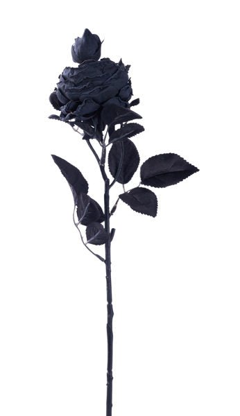 21" Rose Stem: Black - FS380002 - The Wreath Shop