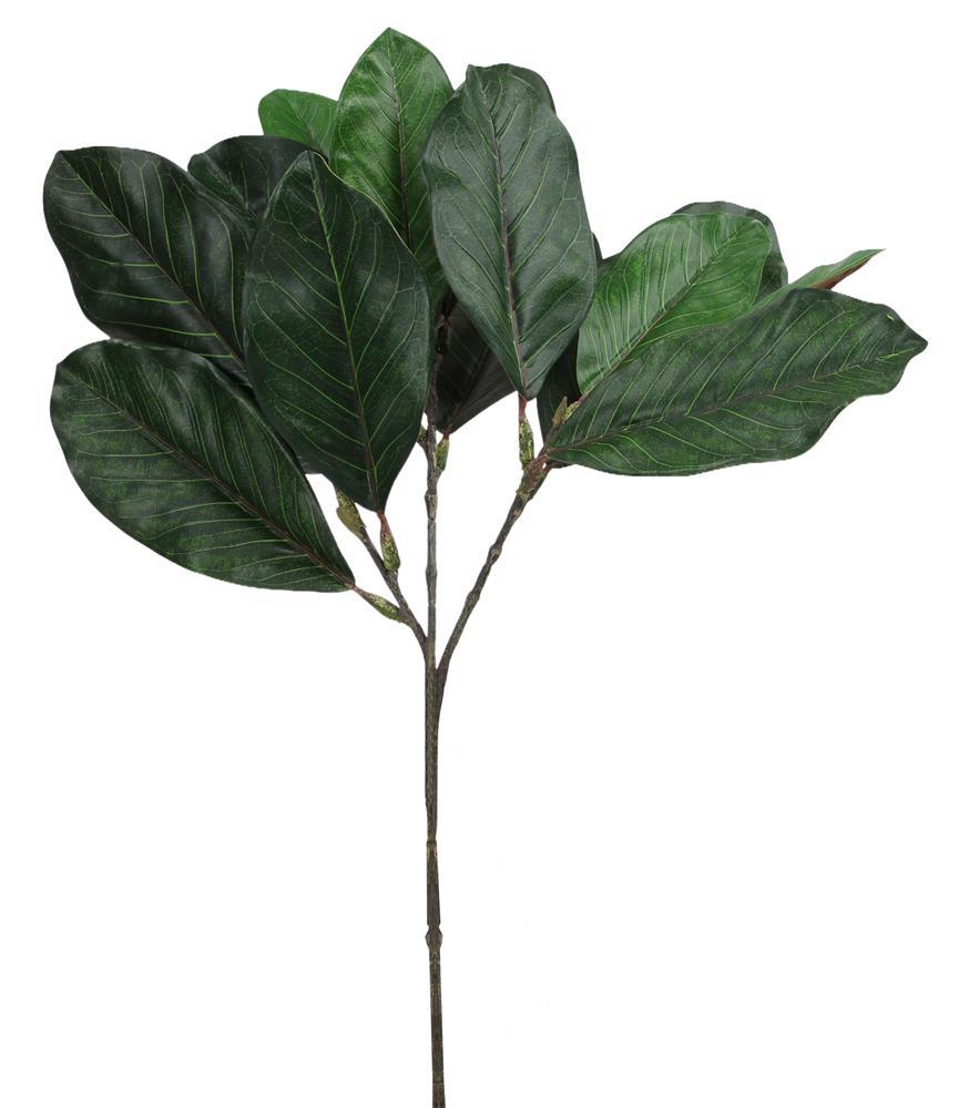 22" Magnolia Leaf Spray - XX7896 - The Wreath Shop
