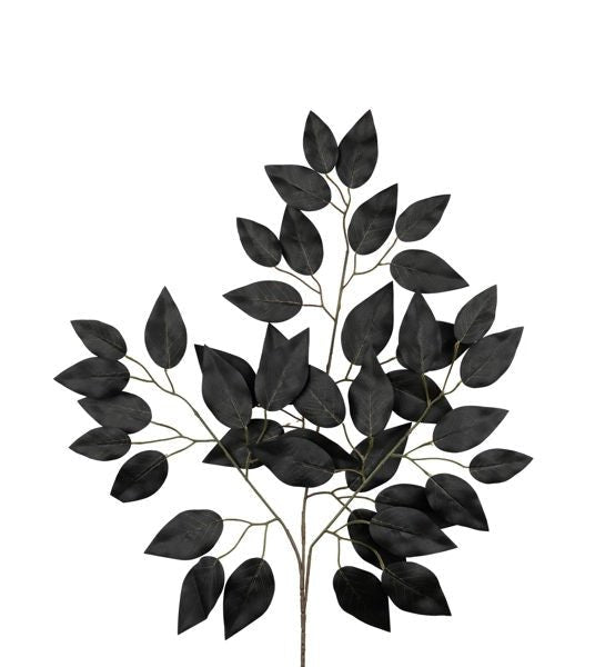 23" Ficus Spray: Black, 12 pack - FG633702 - The Wreath Shop