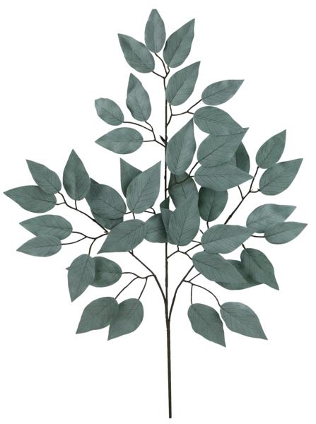 23" Ficus Spray: Sage Green, 12 pack - FG633733 - The Wreath Shop