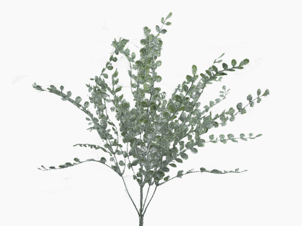 24" Frosted Boxwood Bush: Green/White - 84960GNWT - The Wreath Shop