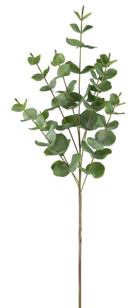 27" Eucalyptus Spray - FG5408 - The Wreath Shop