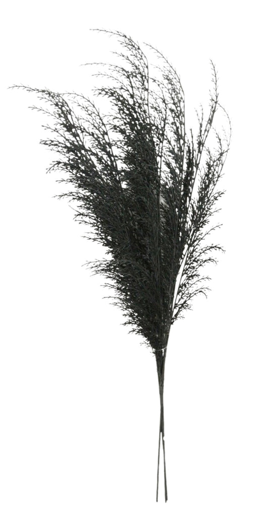 28" Phoenix Tail Fern Spray - Black - 82680-BK - The Wreath Shop