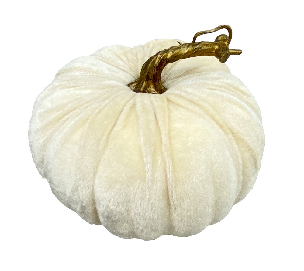 7" Velvet Pumpkin: Cream - 56779CM - The Wreath Shop