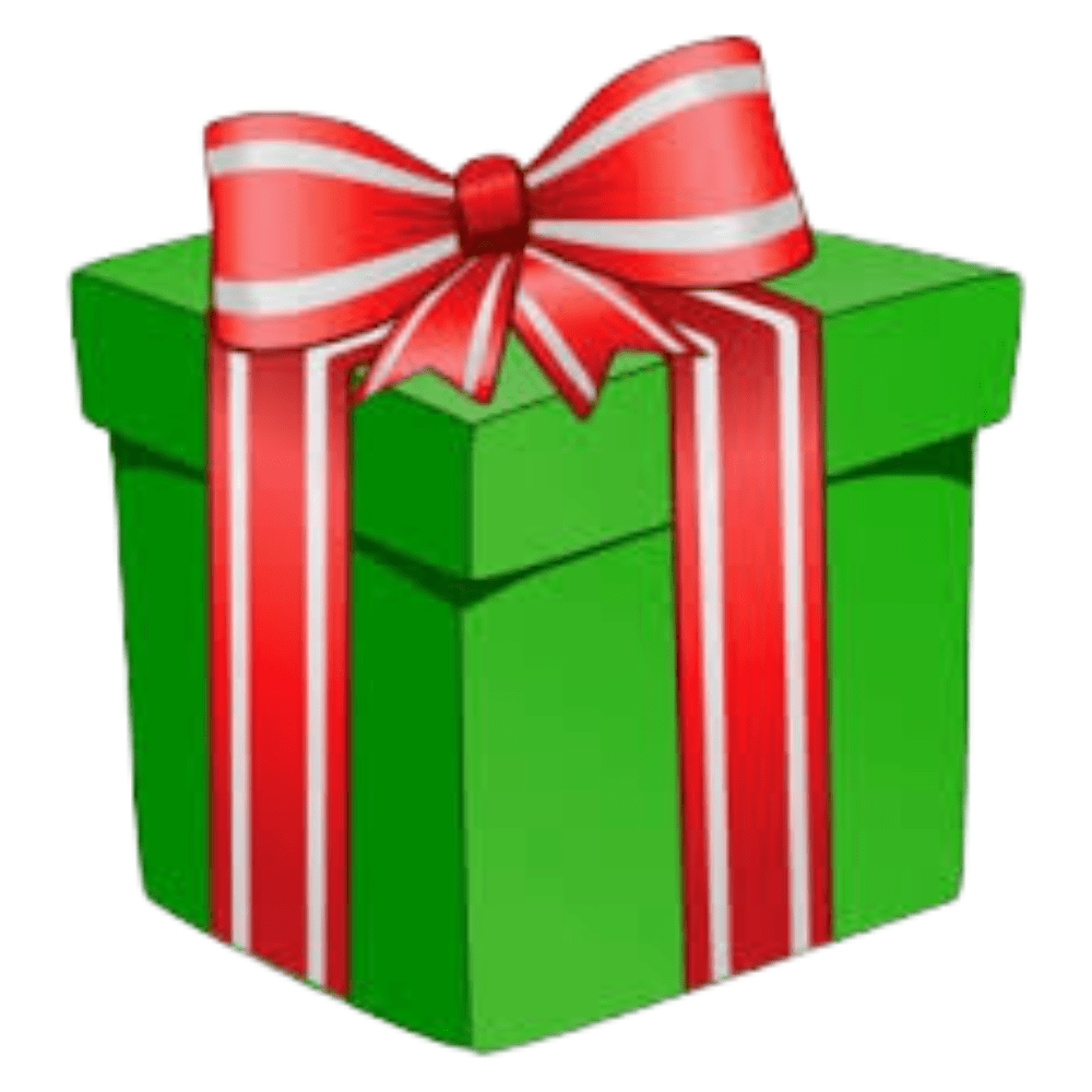 Christmas Discount Box - Surprise Christmas Box - The Wreath Shop