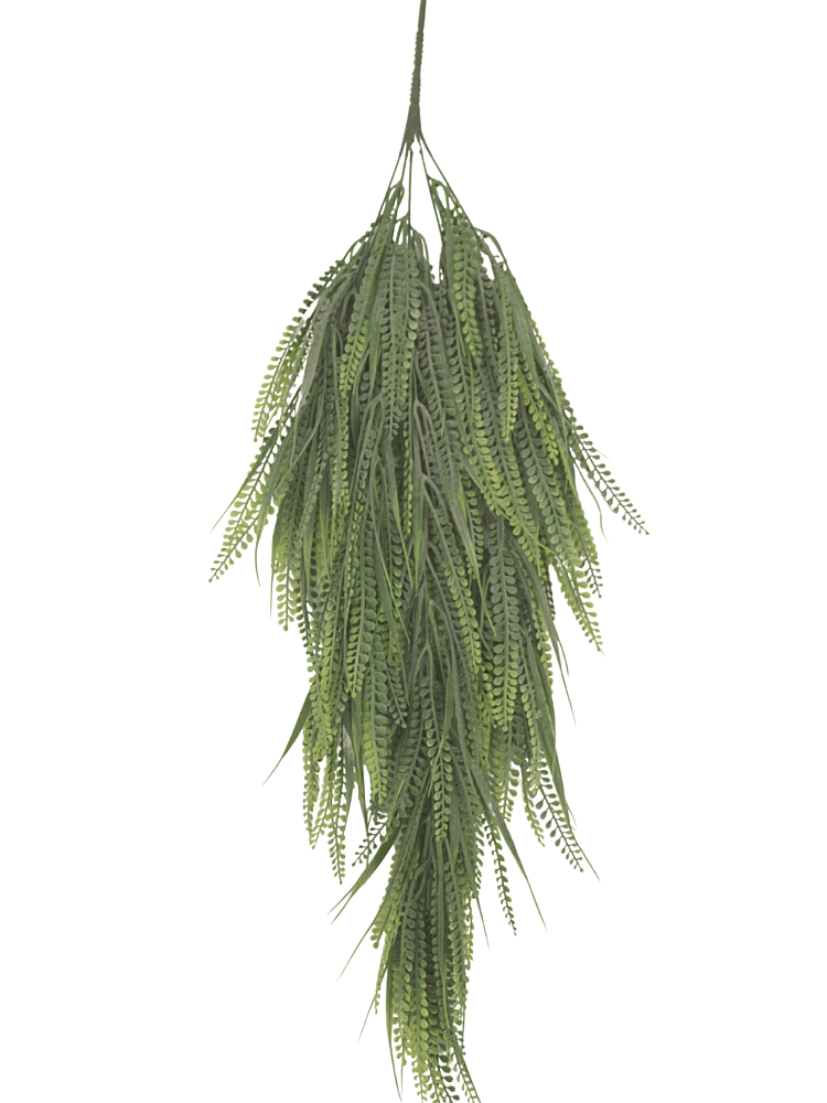 hanging button leaf plant Plastic Button Fern Hanging Bush