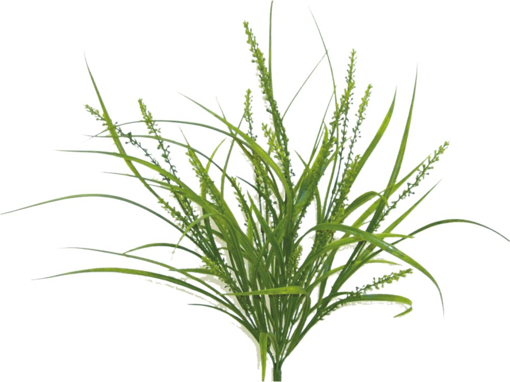Plastic Rice Grass Bush: Green - 13149GN - The Wreath Shop
